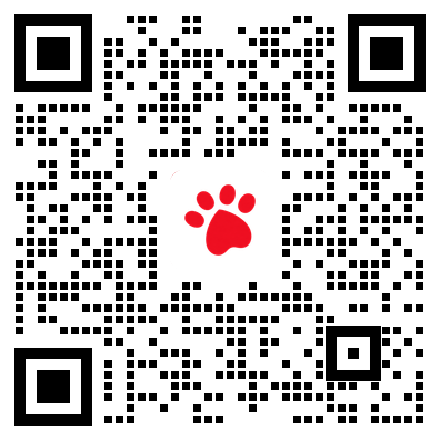 猫爪数据联系二维码